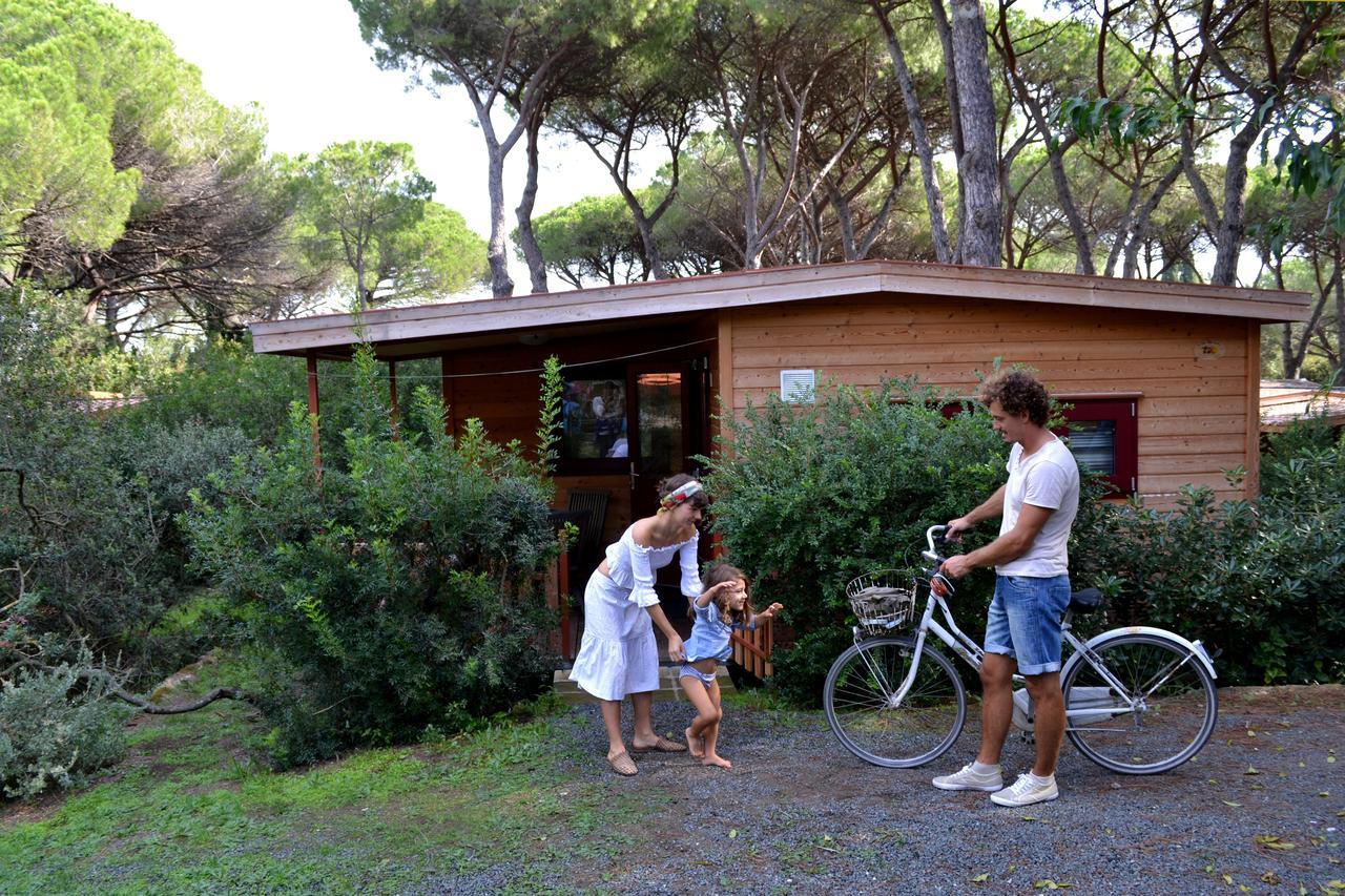 Mobile Home (5 persons),204867553:JPEG